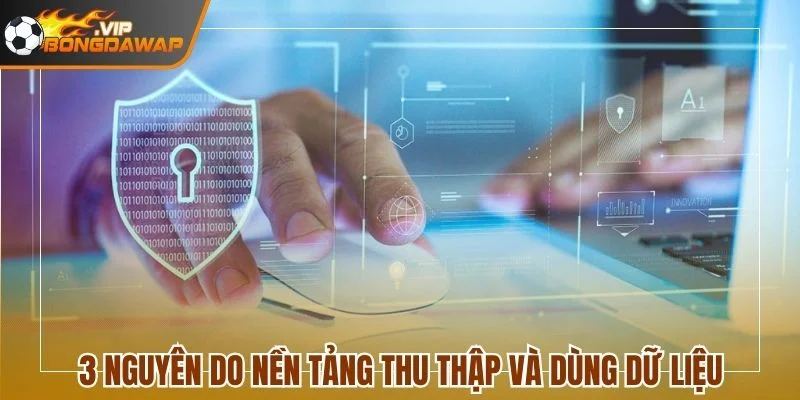 3 nguyên do nền tảng thu thập và dùng dữ liệu