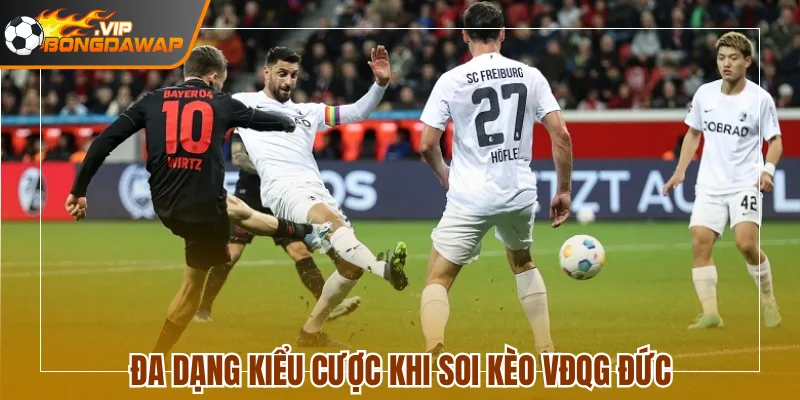 Đa dạng kiểu cược khi soi kèo VĐQG Đức