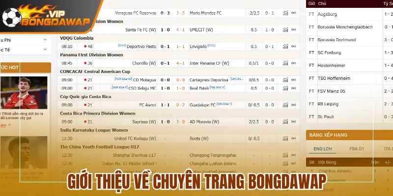 Giới thiệu về chuyên trang BongdaWap