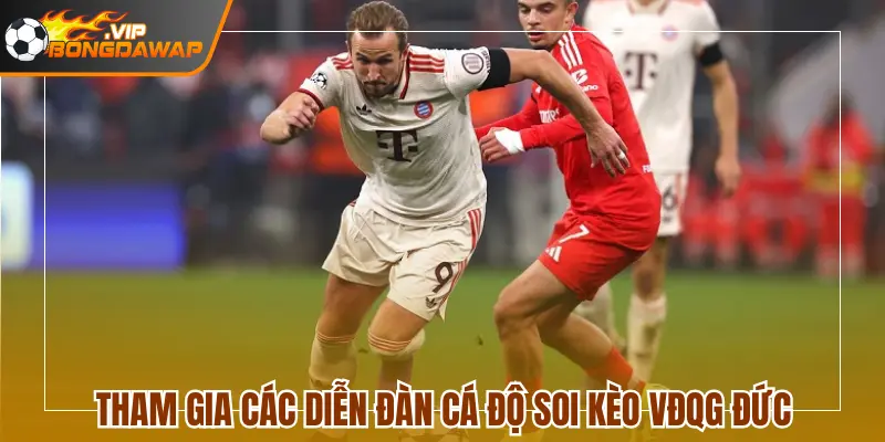Tham gia các diễn đàn cá độ để có thêm thông tin soi kèo VĐQG Đức