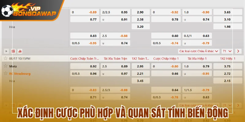 Xác định cược phù hợp và quan sát tính biến động
